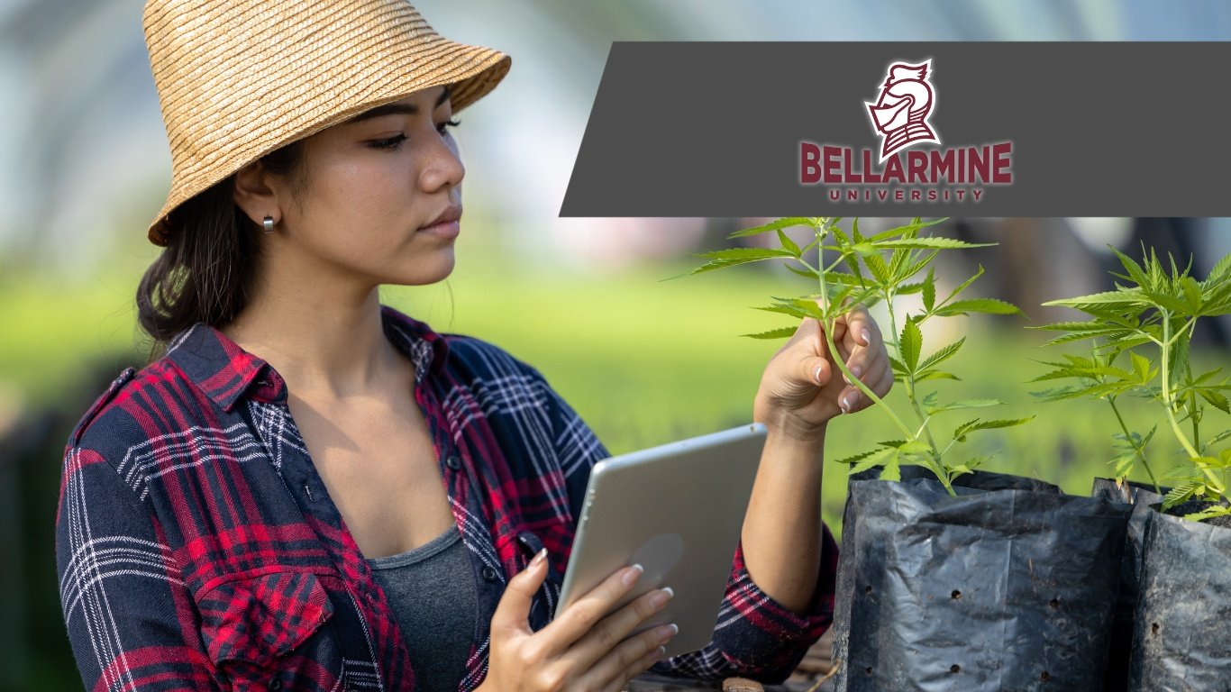Home - Bellarmine University - Cannabis Studies - Bellarmine University